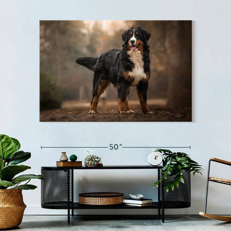Brampt Bernese Mountain Dog, 34" H x 51" W