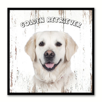 " Golden Retriever Dog "