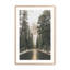 «Woodland Journey», dans un cadre,-773870774-773870797
