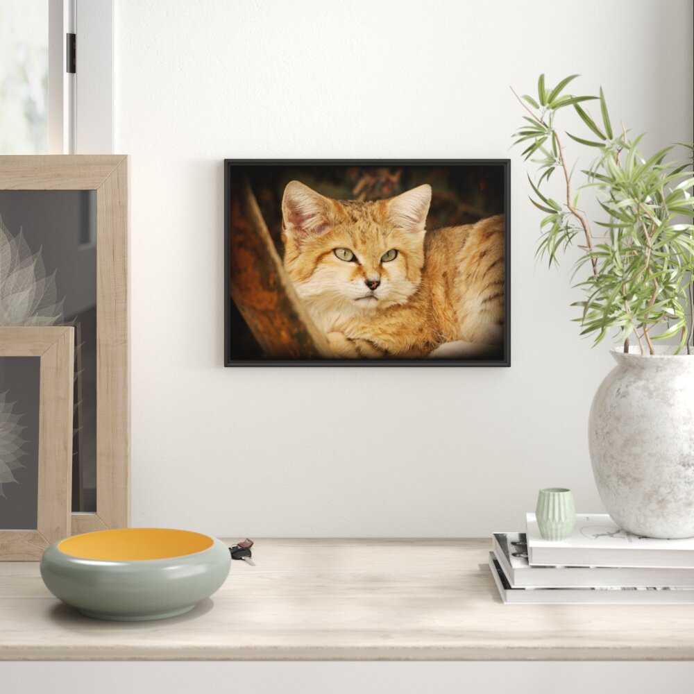 Gerahmtes Wandbild kleine Sandkatze