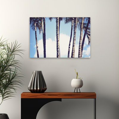 Palmiers bleu contemporain Afrique du Sud brun