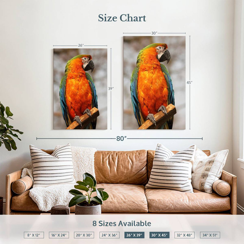 Brampt Catalina Macaw, 45" H x 30" W