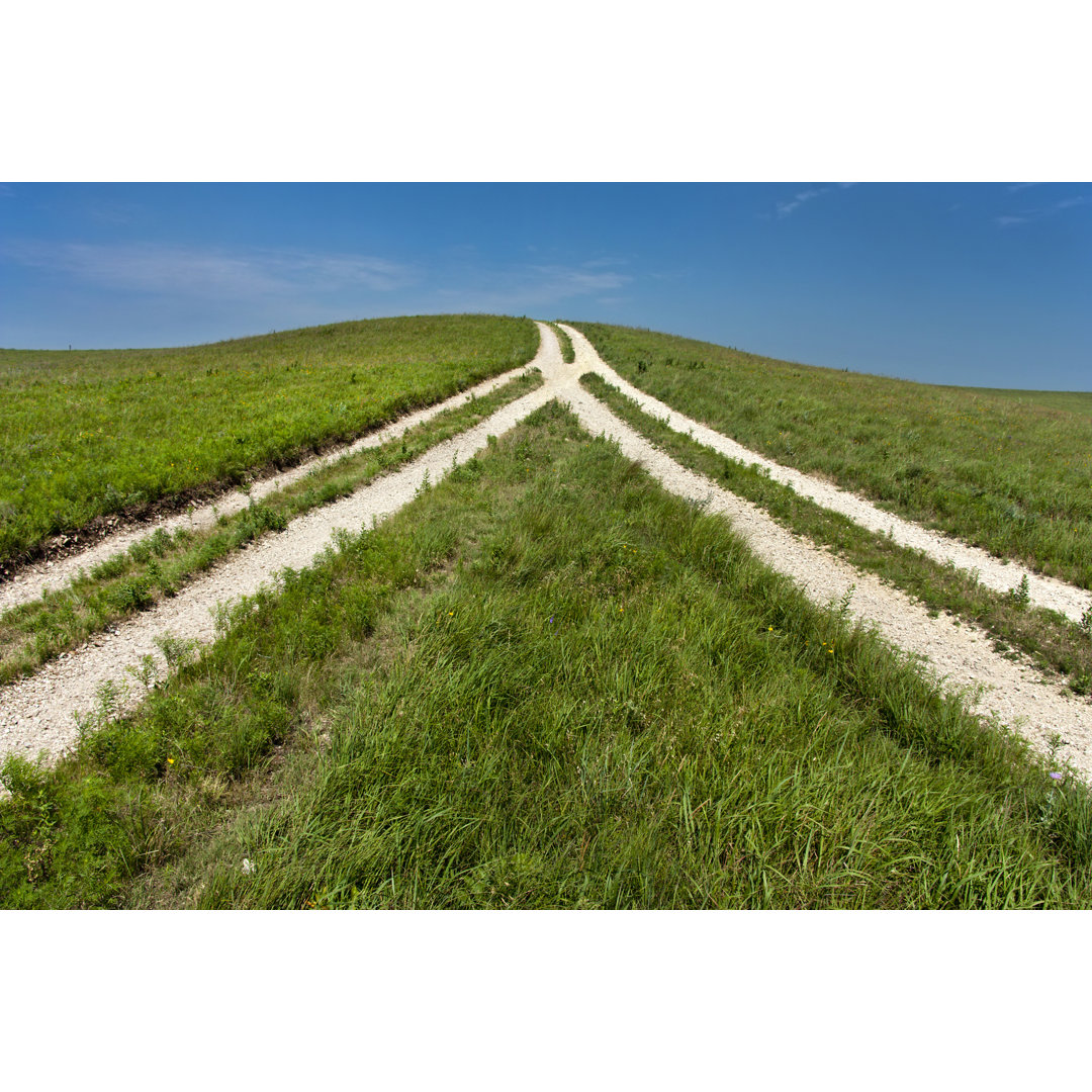 Reversed View Of Fork In The Road Means Coming Together by Ricardoreitmeyer - No Frame Print on Canvas