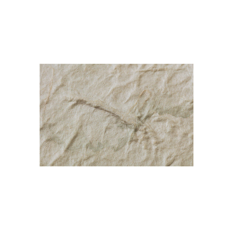 Espira, reproduction encadrée