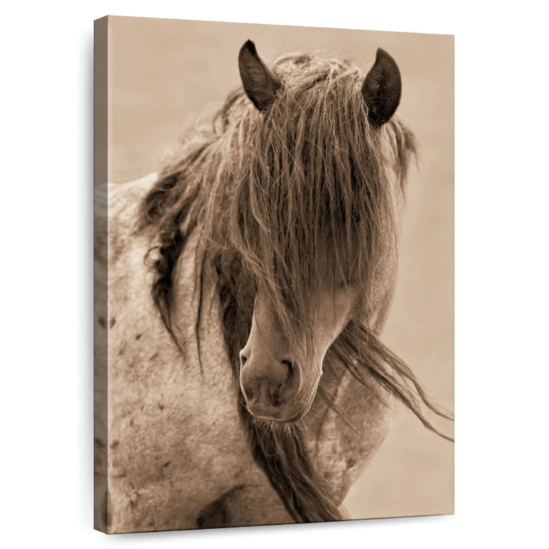 Brampt Freedom Horse, 24" H x 16" W