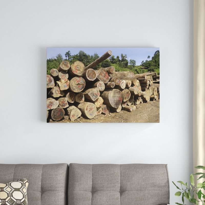 " Timber At A Logging Area ", 12" H x 18" W x 1.5" D