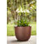 Plant Pot-72816990-72816986
