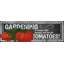 Tomato Chalk - Wrapped Canvas Print-705677150