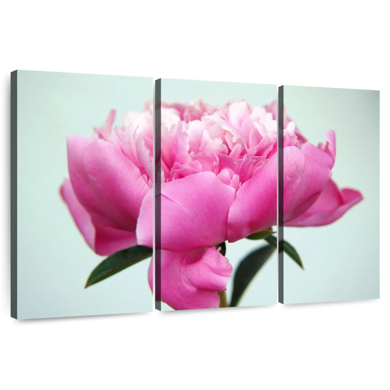 Fleur de pivoine Harnek, H 32 po x l 50 po