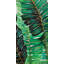 Feuilles exotiques, reproduction encadrée matte - décoration intérieure unique