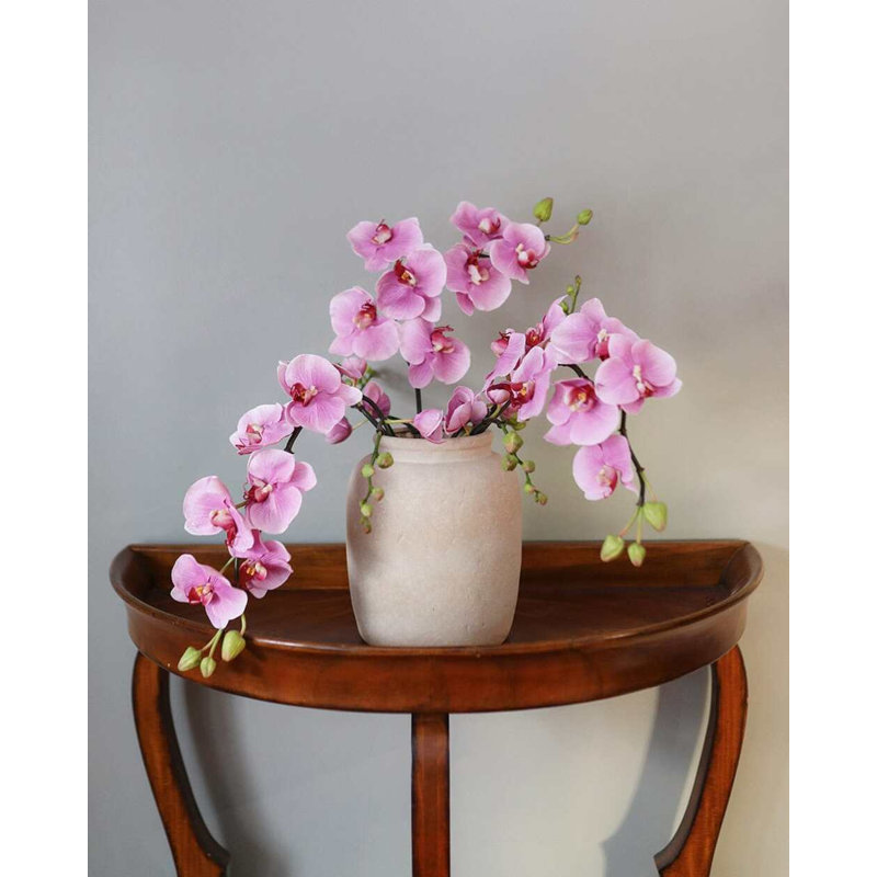 Pink Flowering Phalaenopsis Orchid 34", White, 34" H x 4" W
