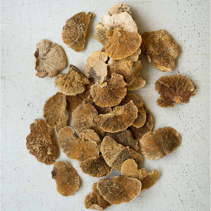  Champignons séchés en éponge - Ensemble de 4 bols et bols rustiques de 6 po de hauteur, ensemble de 4