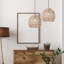 Luminaire suspendu 15,5 po Ames