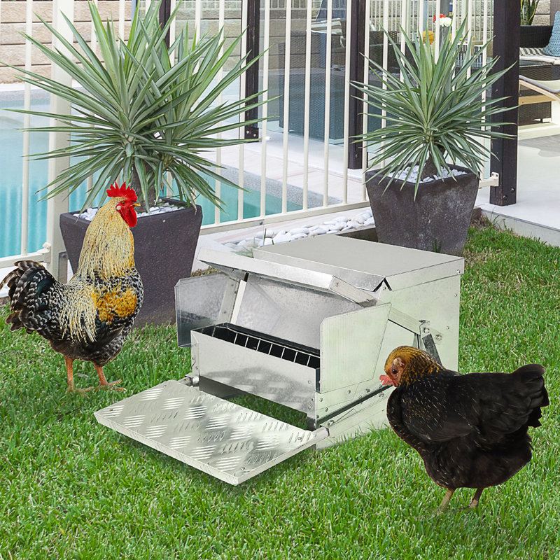 Mangeoire à volaille pour poulet d'une capacité de 30 lb - Acier galvanisé et aluminium