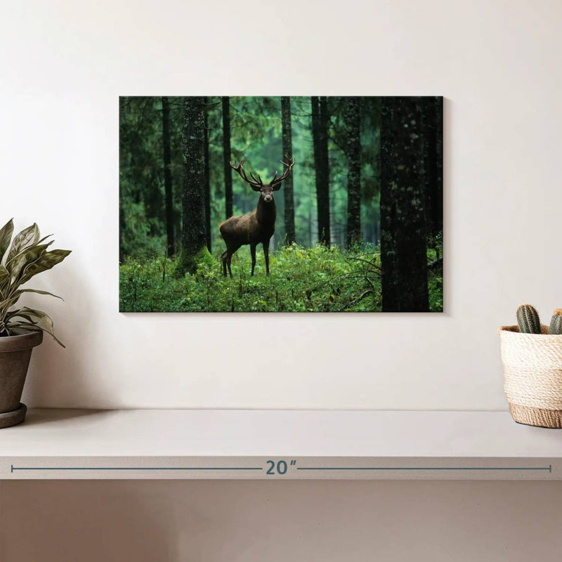 Wapiti en forêt, H 8 po x l 12 po