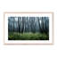 Eerie Trees IV Print by Jakob Wagner-48617438-48617441
