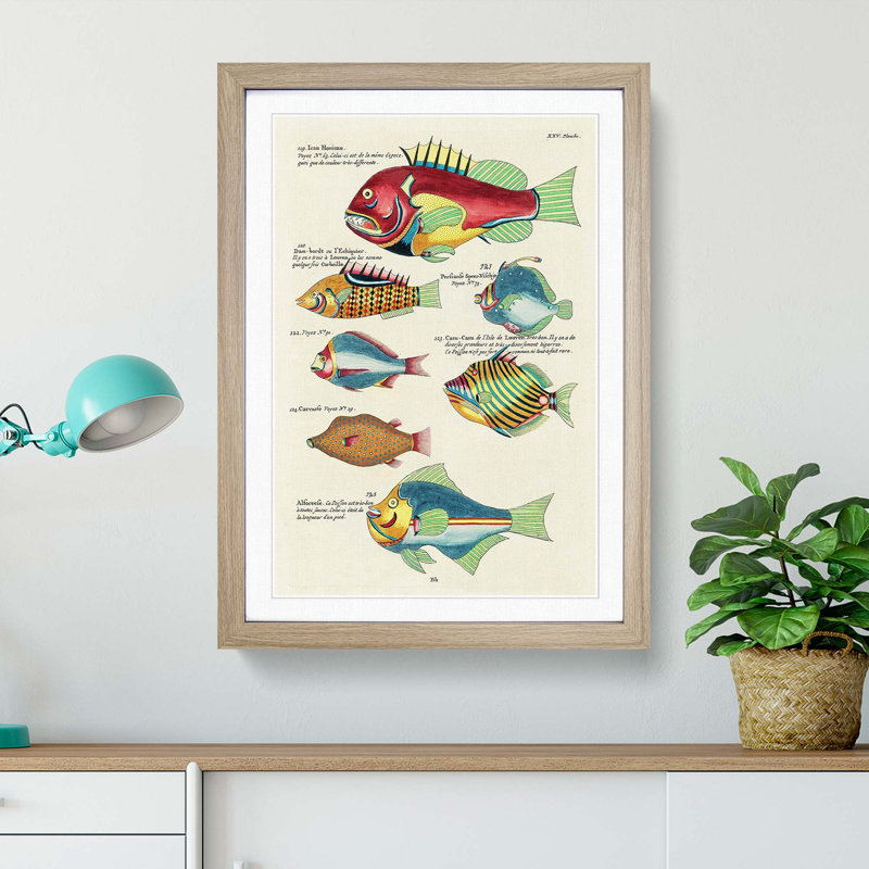 East Indies Fish Illustrations XXV by Louis Renard - Picture Frame Graphic Art Print, 48cm H x 36cm W x 2cm D, Oak Framed