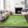 Premium Machine Washable Kiyondrea Aloe Rug
