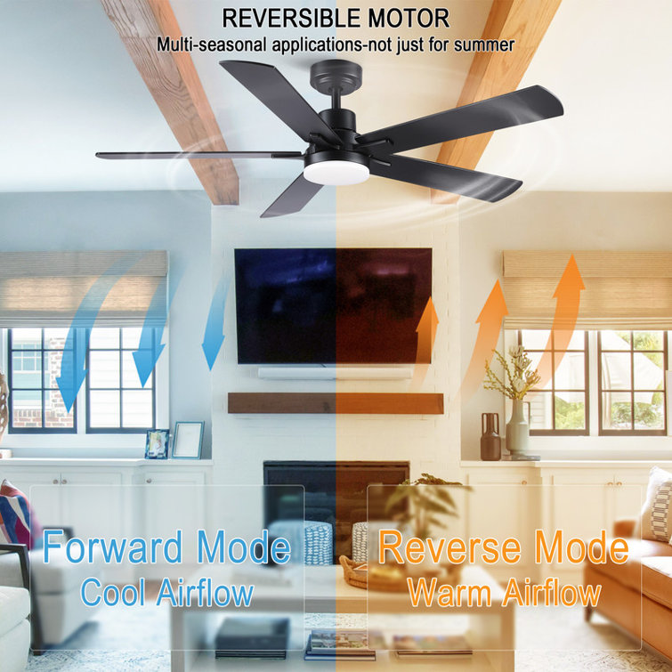 Modern 52" Ceiling Fan with Light and 5 Blades