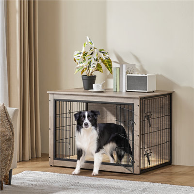 Metal Pet Crate with 2 Doors