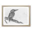 Kingfisher Bird on a Branch - Picture Frame Graphic Art Print-56735176-56735175