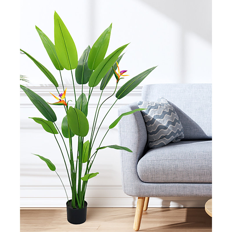 160cm Plant