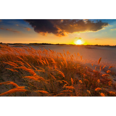 Willowdale Steppe Sunset - Wrapped Canvas Print