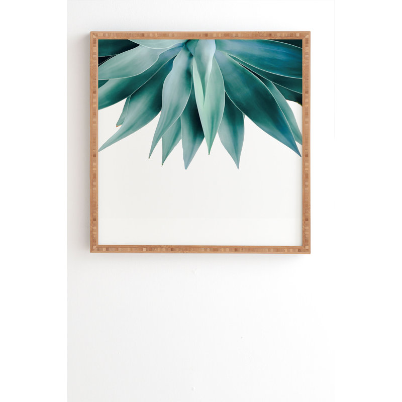 « agave frange », impression, H 20 po x l 20 po x P 2 po, Armature en bambou, Pas de tapis