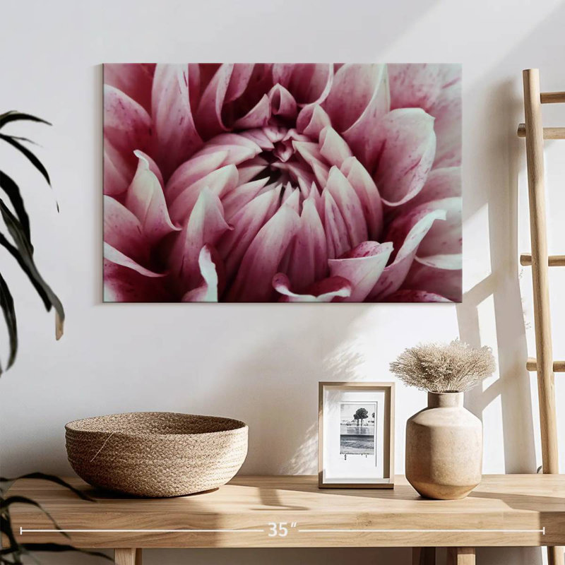 Harnek - fantaisie dahlia rose, H 16 po x l 24 po