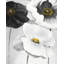 Assortiment de fleurs blanches - décor de salle de bain floral imprimé-1299811930-1299811932