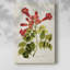 Fleurs tropicales de trompette II - Cavas enveloppés de galerie-1745031269