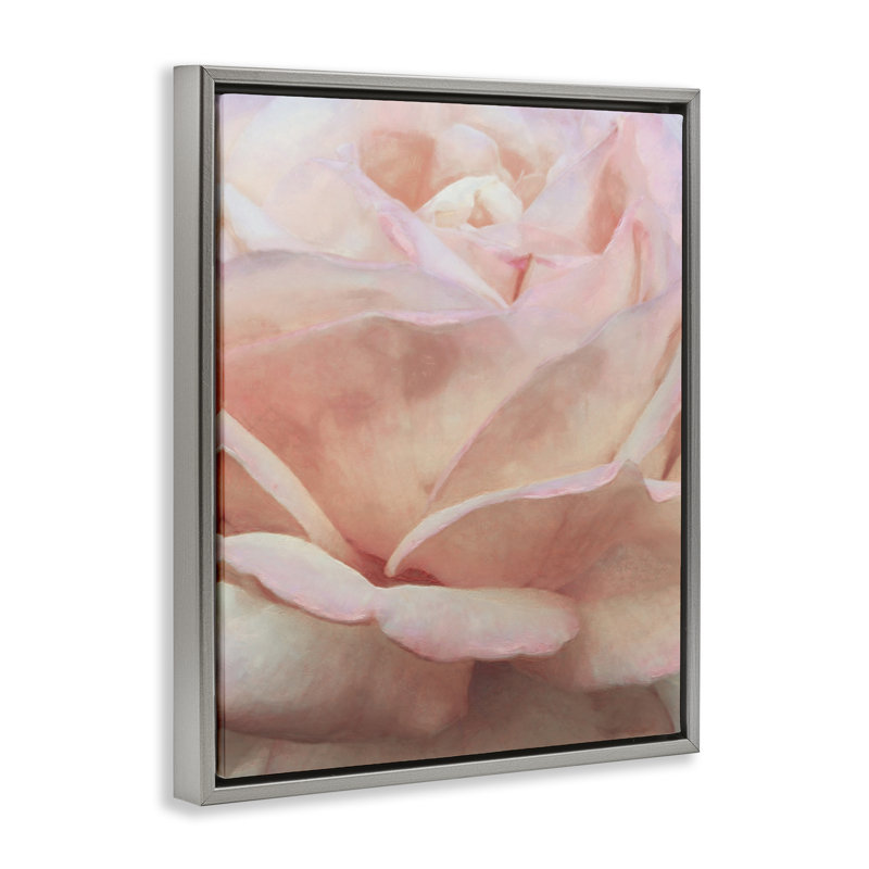 «Soft Soft Rose Petals» par Alonzo Saunders, H 31 po x l 25 po, Cadre flottant gris lustré