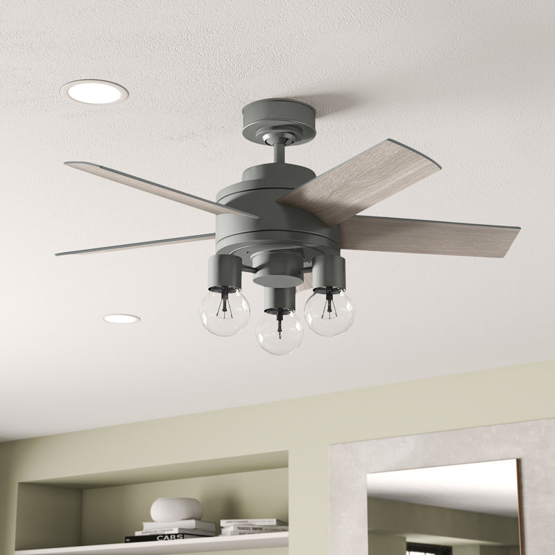 Ventilateur de plafond standard à 5 pales de 44 po avec télécommande et ensemble d'éclairage inclus Hardwick, Gris
