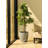 Karola Pot Planter-1267224138-1210281157