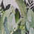 Noix de coco