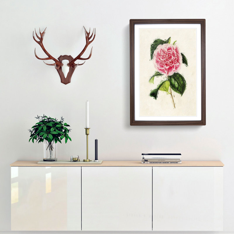 Illustration of a Pink Japanese Camellia - Picture Frame Painting Print, 36cm H x 27cm W x 2cm D, Walnut Framed