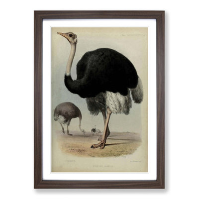 Single Picture Frame Painting