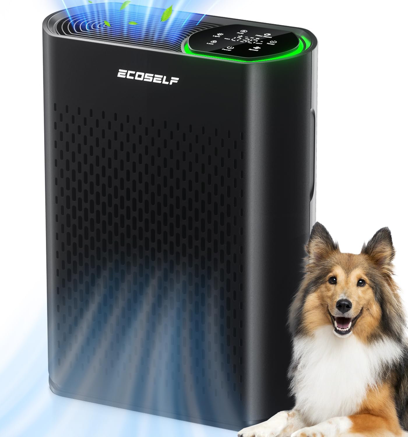 Beautiful view of Bedroom Air Purifiers With Air Quality Monitor For Allergies