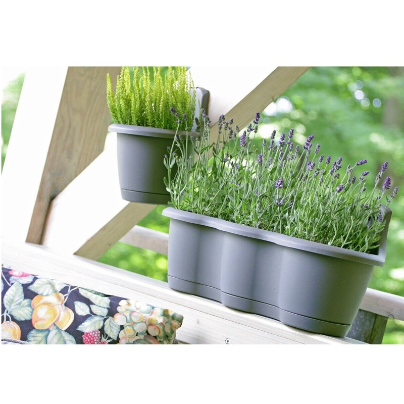 Alamae Wall Planter, Black