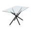 Tempered Glass Side Table with Iron Legs