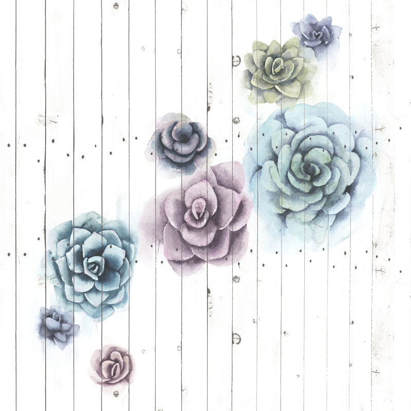Shiplap Succulent Cluster III 1 Piece Wrapped Canvas Painting, 51cm H x 51cm W