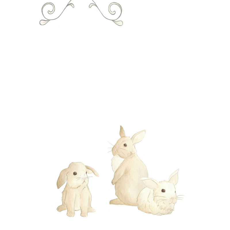 Bébés animaux I, H 12 po x l 8 po