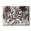 Toile tendue avec châssis I-Premium Blush Blackboard-108955744