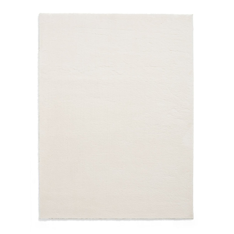 Tejal area rug Machine Woven Rectangle Ivory, Rectangle 160 x 230cm