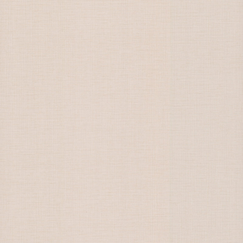Rouleau de papier peint L 30 pi x l 26 po, Beige