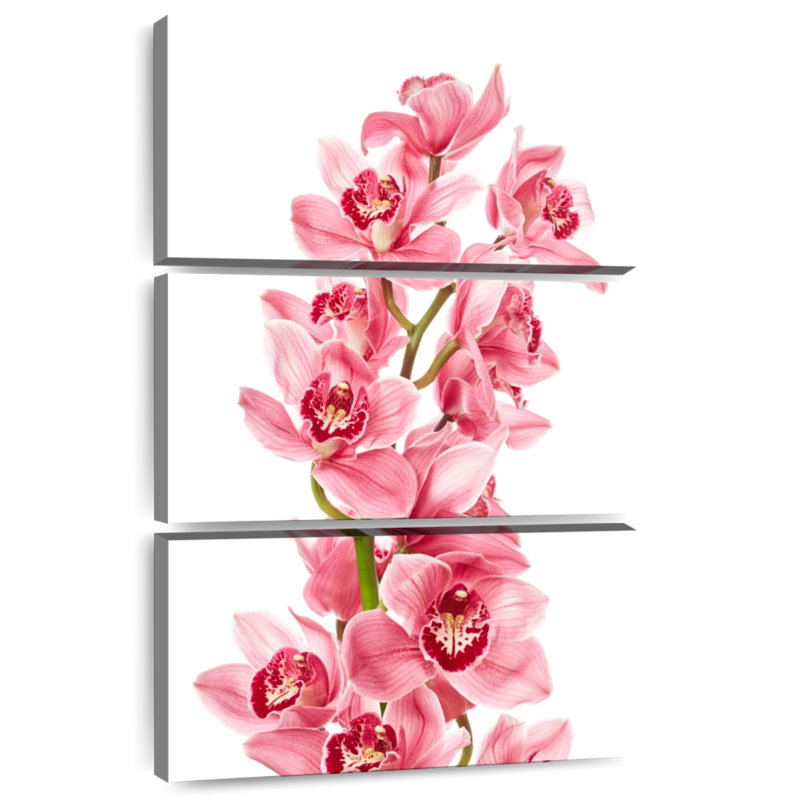 Harnek Pink Orchids, 32" H x 20" W