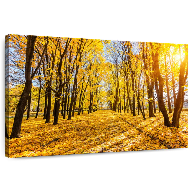 Chemin d'automne ensoleillé Alvord, H 16 po x l 24 po