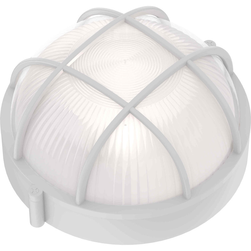 Applique murale d'extérieur 1 lumière en aluminium coulé avec cage cloisonnée et verre givré