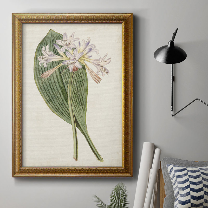 Antique Botanical Collection IV - reproduction d'art sur toile encadrée, L 18 po x H 27 po