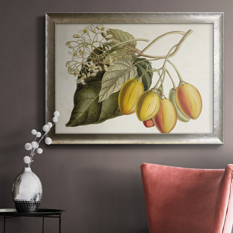 " Tropical Foliage & Fruit IV ", 20" W x 16" H